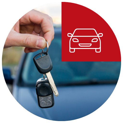 Guida-senza-pensieri-viaggia-in-totale-liberta