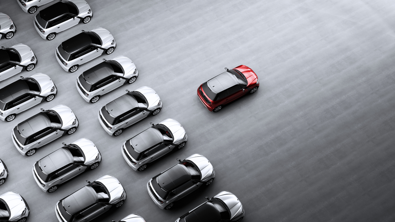 Scopri di più sull'articolo Noleggio Auto